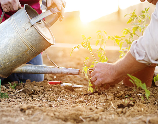 gardening-exercise-healthy-living